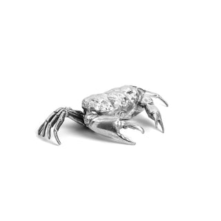 Wunderkammer Crab SELETTI