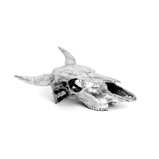 Wunderkammer Bison Skull SELETTI