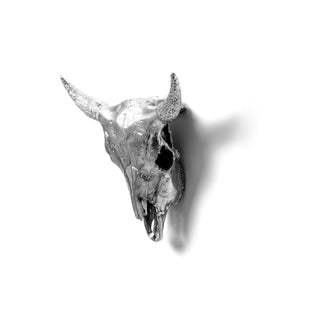 Wunderkammer Bison Skull SELETTI