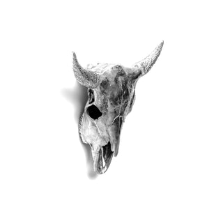 Wunderkammer Bison Skull SELETTI