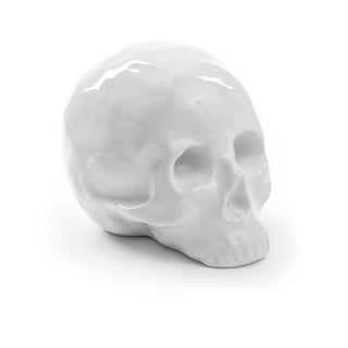 Memorabilia My Skull DEKOR