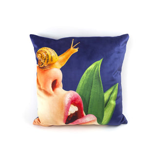 Cushion Snail DEKOR