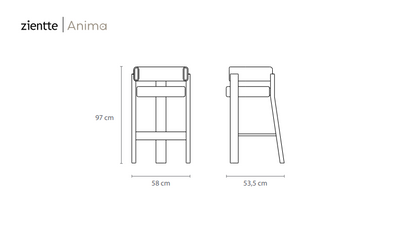 ANIMA Bar chair by Zientte