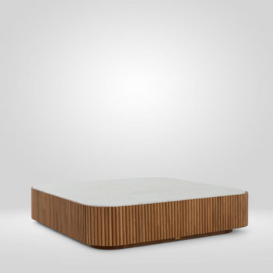 ANIMA Coffee table by Zientte