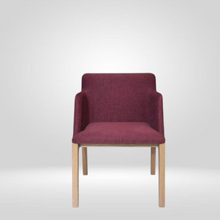 TESTINO Dining Chair by Zientte - DEKOR