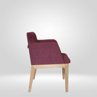TESTINO Dining Chair by Zientte - DEKOR