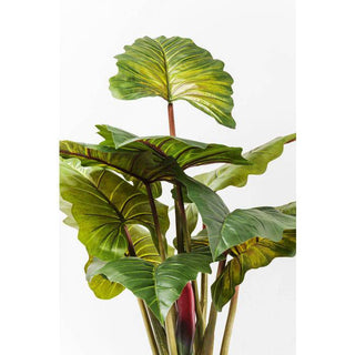 Realistic Artificial Houseplant
