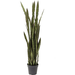 Deco Plant Sansewieria 155cm - JULIA VENCE STORE