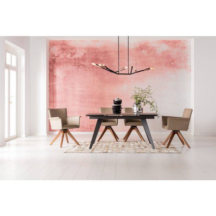 Modern Extension Table