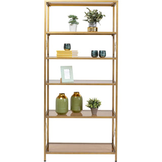 Shoe Storage Cabinet