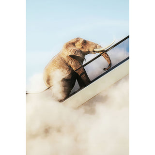 Framed Picture Elephant In The Sky 150x100cm - DEKOR