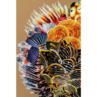 Framed Picture Flower Hair 120x120cm - DEKOR