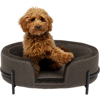 Dog/Cat Bed Dream Day Grey - DEKOR