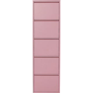Shoe Organizer Box