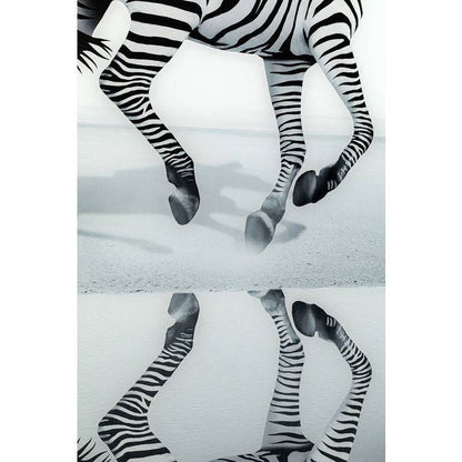 Picture Glass Savanna Zebra 120x120 - JULIA VENCE STORE