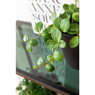 Shelf Loft Black 195x115 - JULIA VENCE STORE
